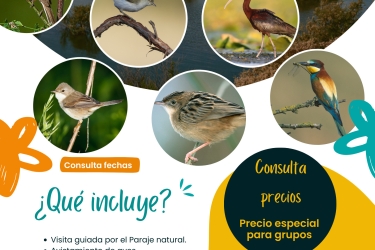 COLA DEL EMBALSE DE BORNOS